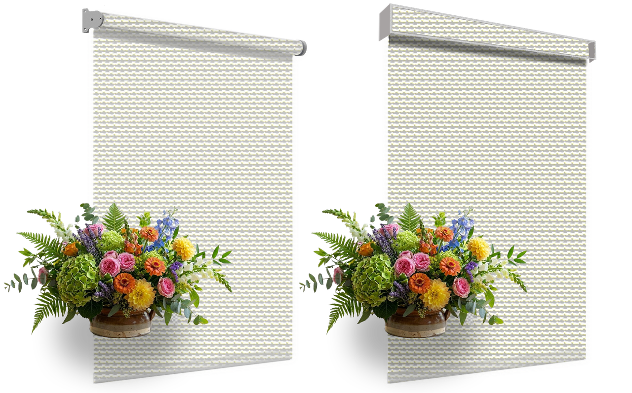 Dove White