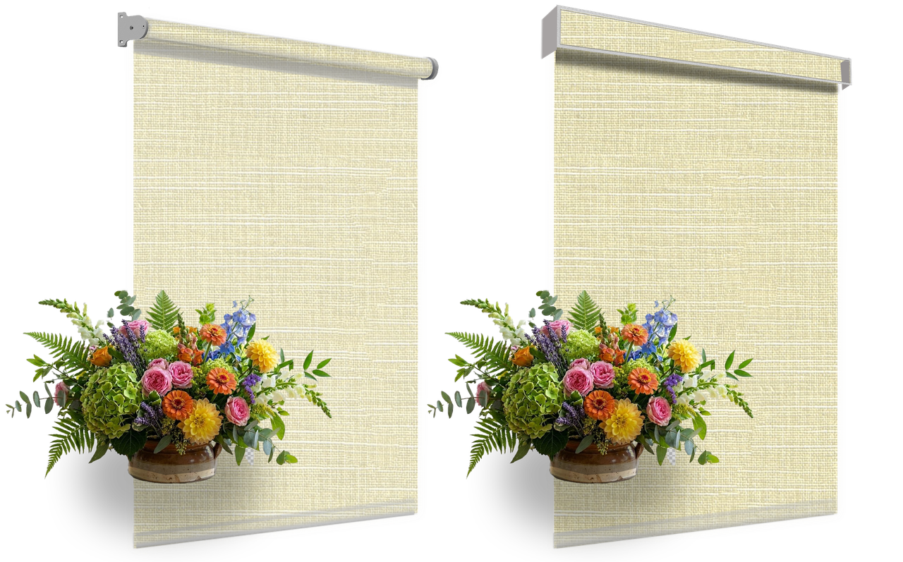 Beige Wales 1112