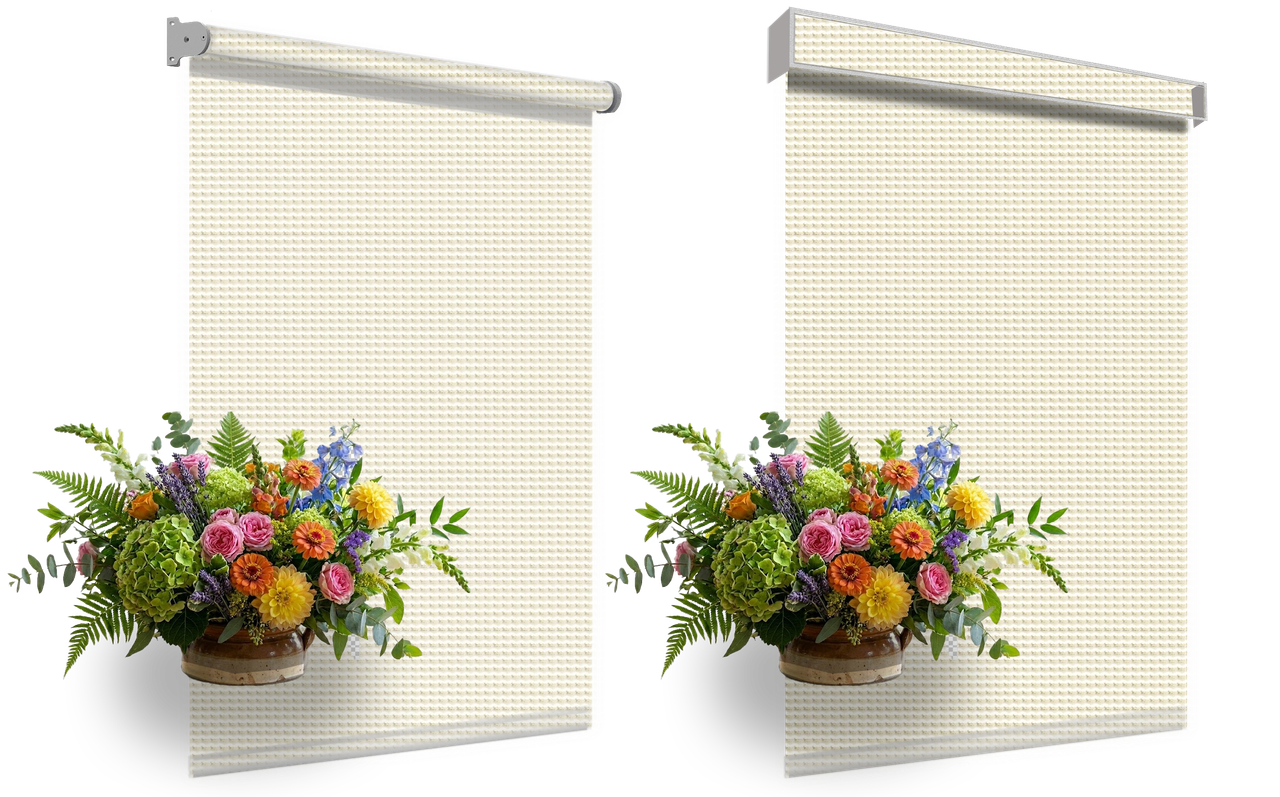 Creamy Morelle2