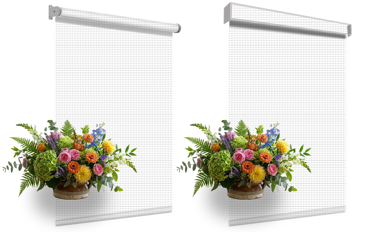 White Ice Morelle1