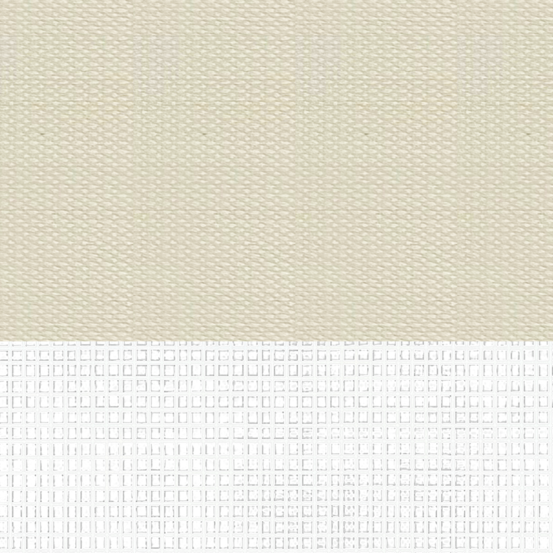 White Shell B501
